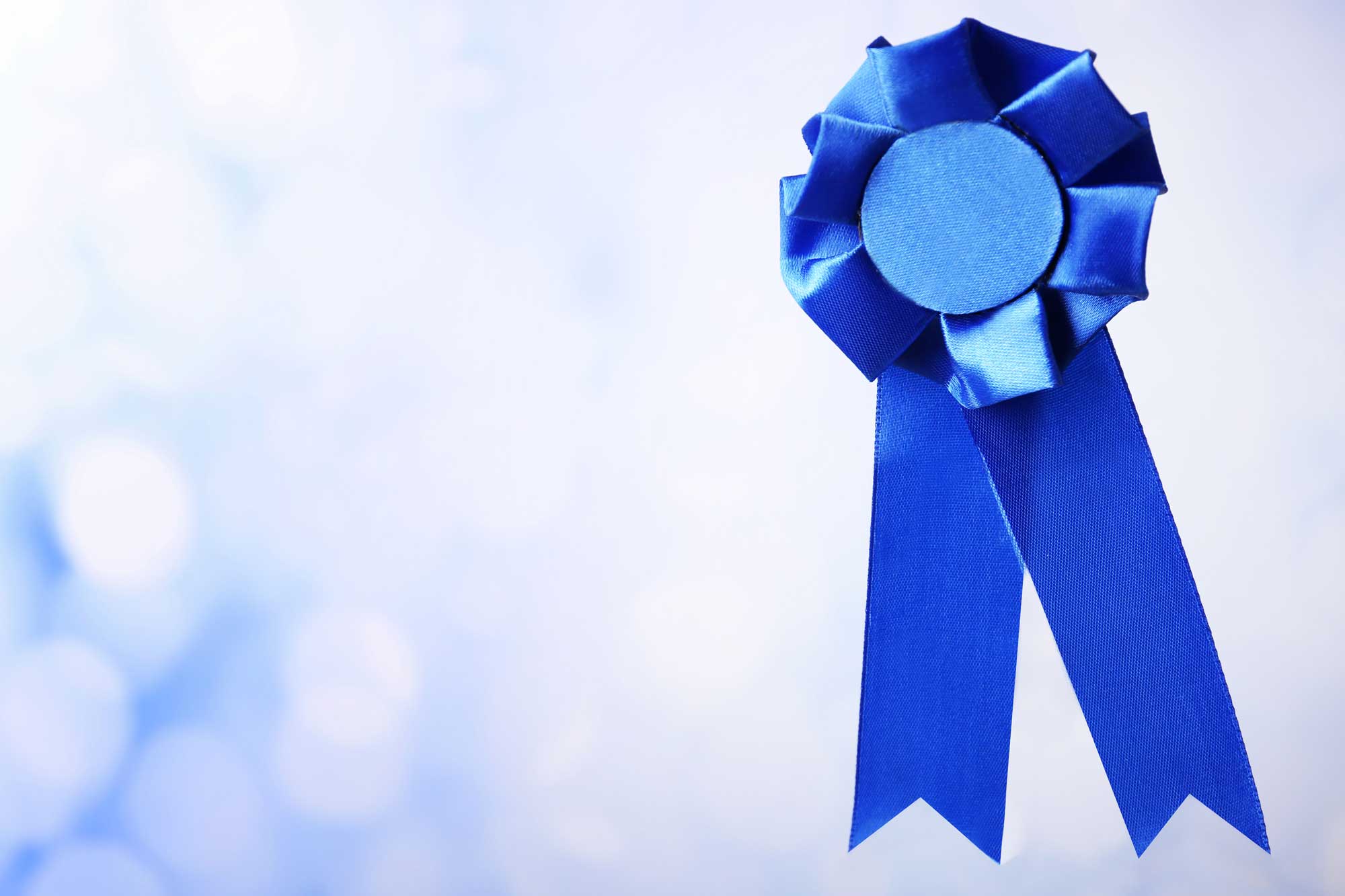 Blue Ribbon | Top Myers Fire Life Safety Risk Mitigation Consultant | Myers Risk Services